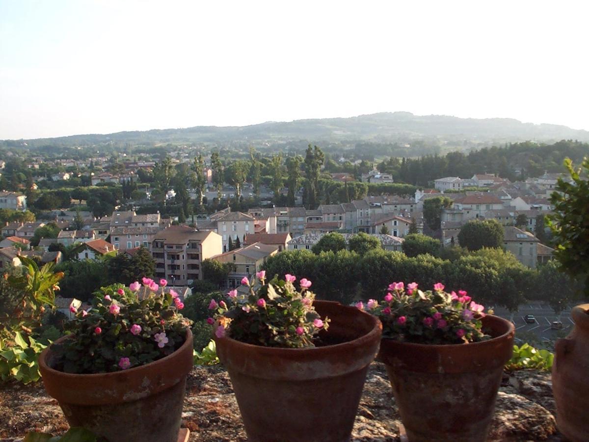 Maison D'Hotes De L'Eveche Bed & Breakfast Vaison-la-Romaine Dış mekan fotoğraf